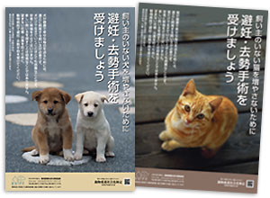 犬猫の避妊手術・去勢手術啓発ポスター無料ダウンロード